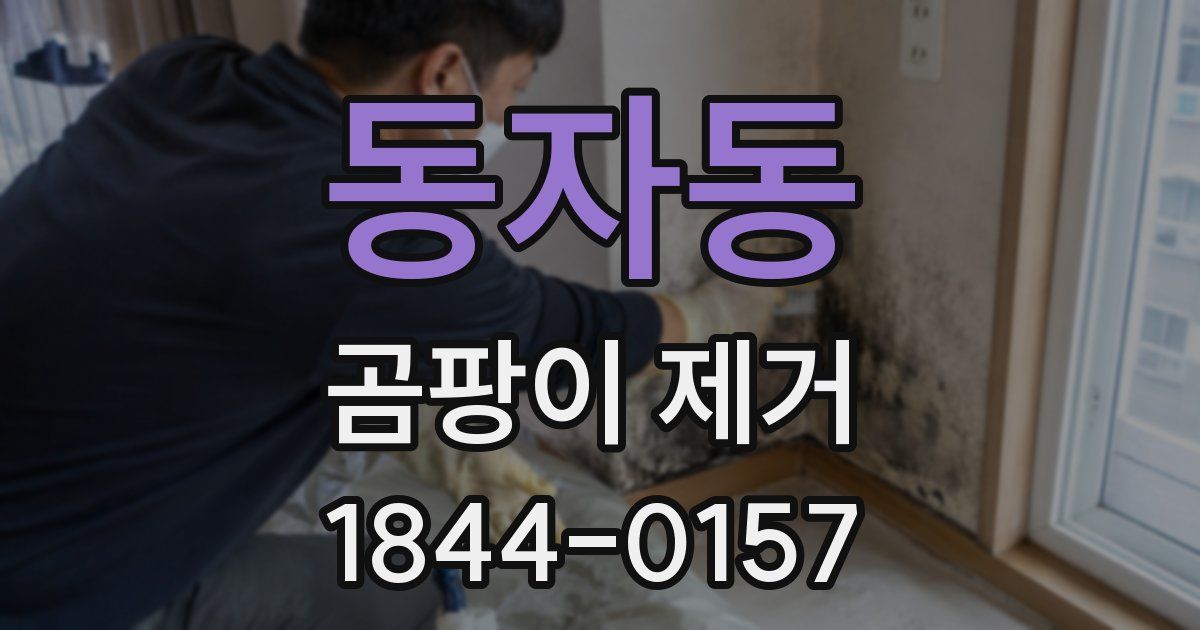 동자동 곰팡이 제거