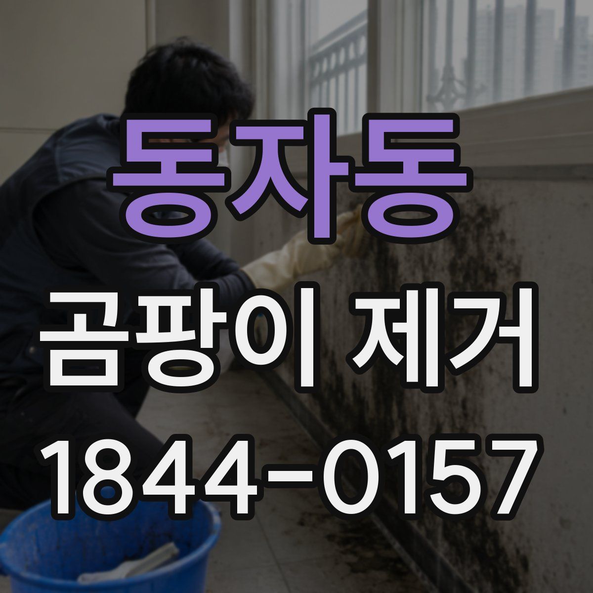 동자동 곰팡이 제거