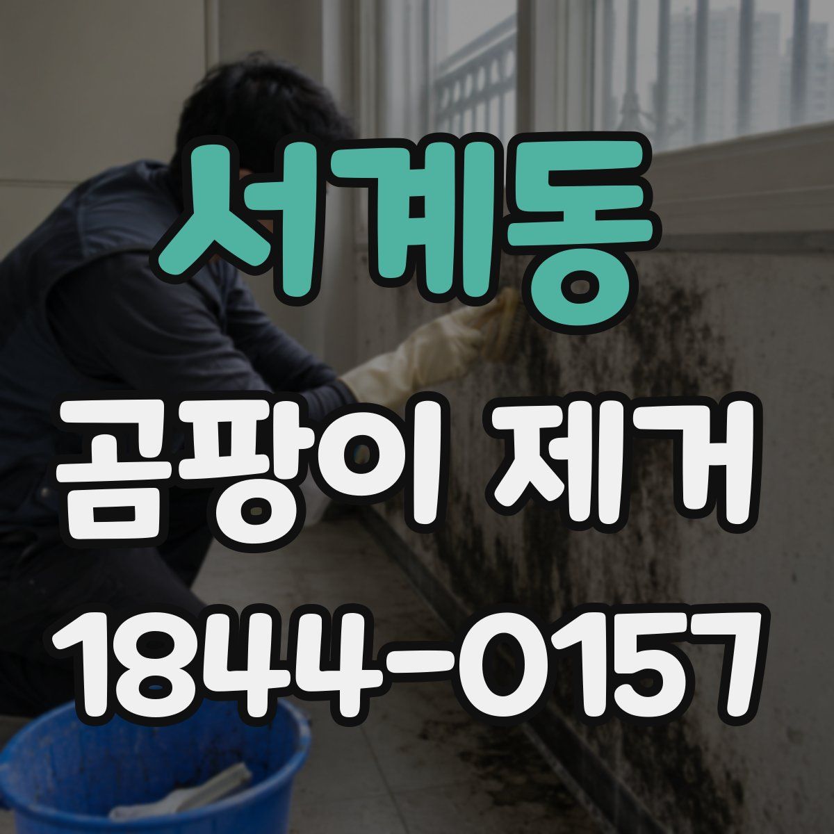 서계동 곰팡이 제거