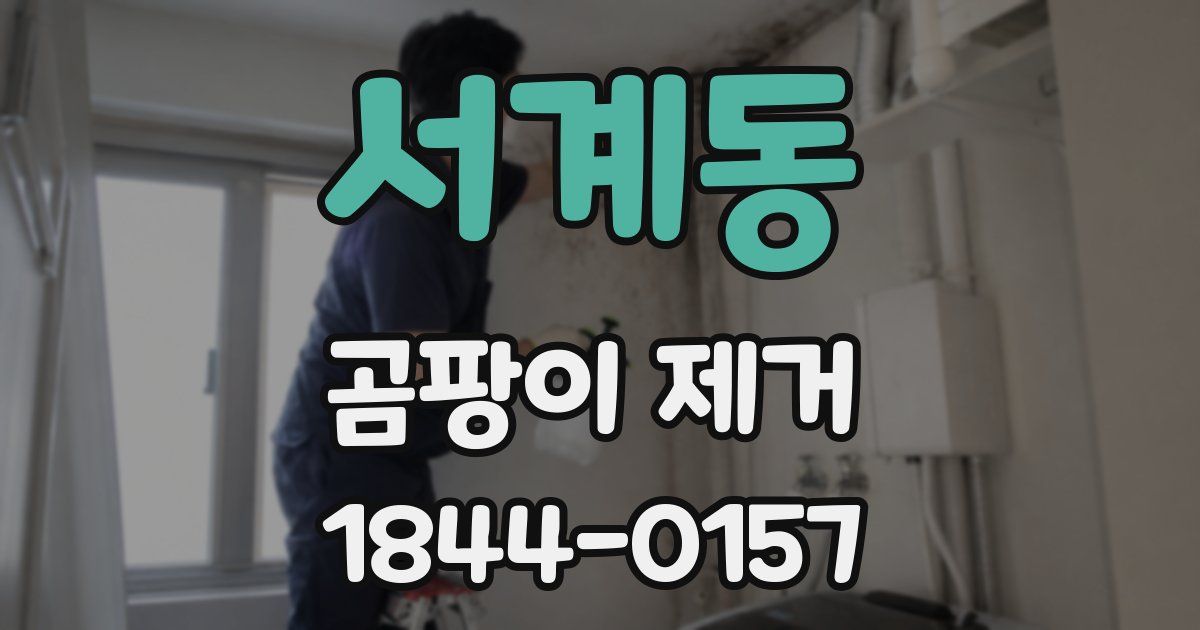 서계동 곰팡이 제거