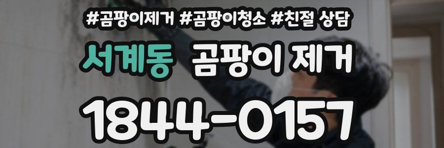서계동 곰팡이 제거