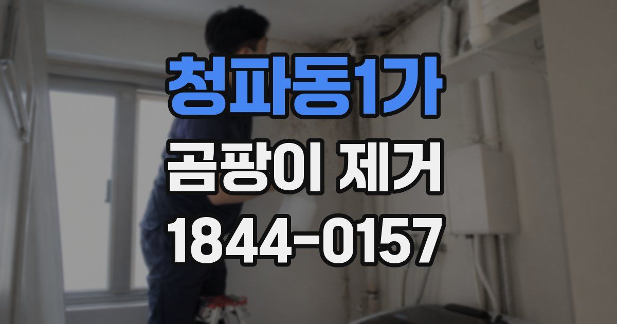 청파동1가 곰팡이 제거