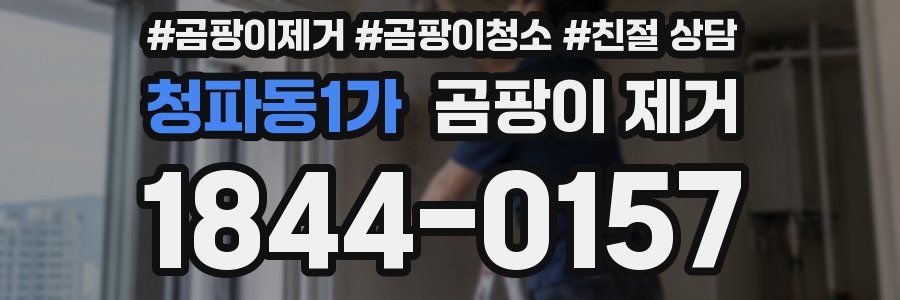 청파동1가 곰팡이 제거
