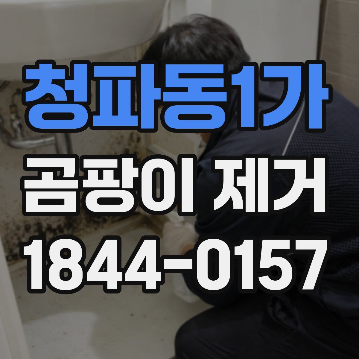청파동1가 곰팡이 제거