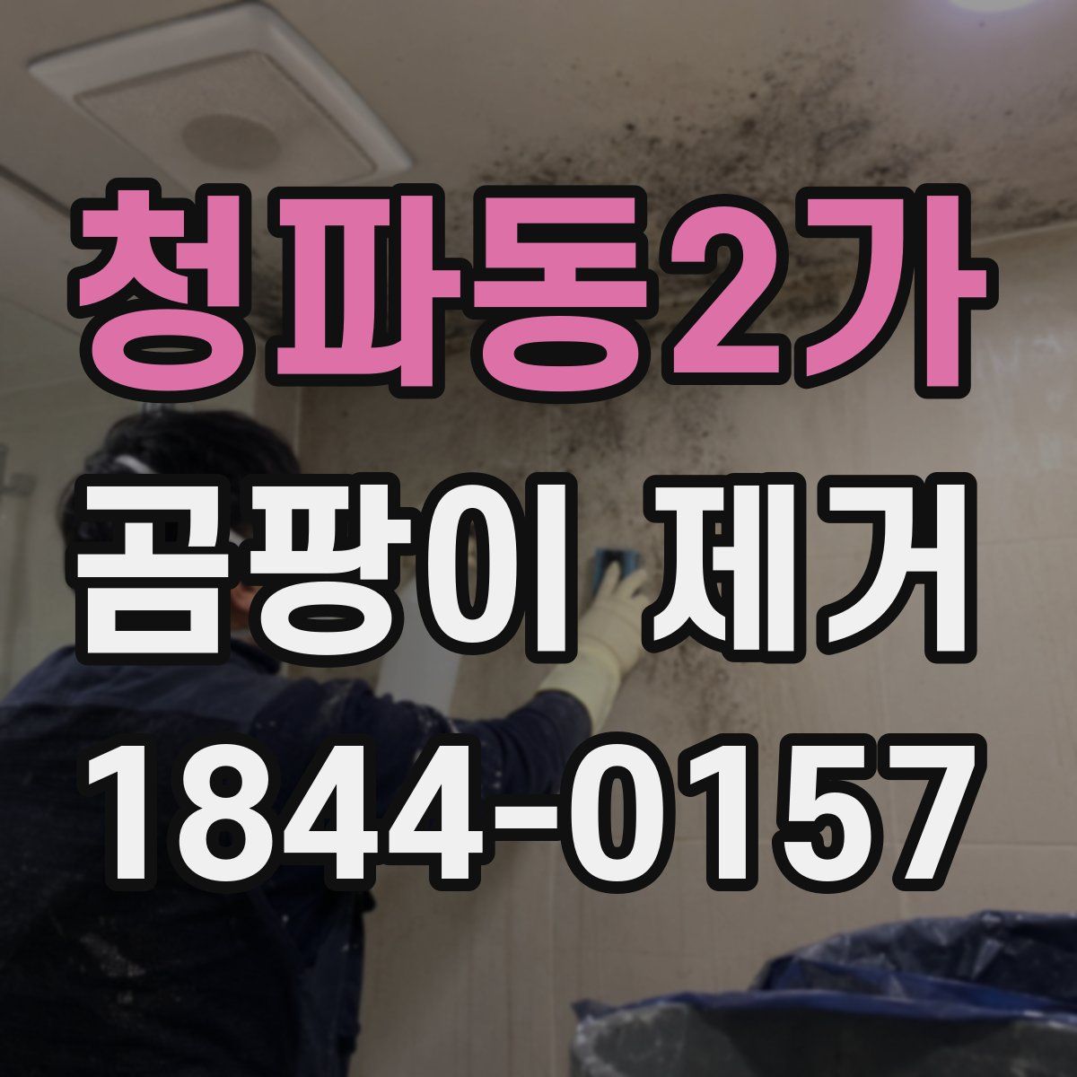 청파동2가 곰팡이 제거