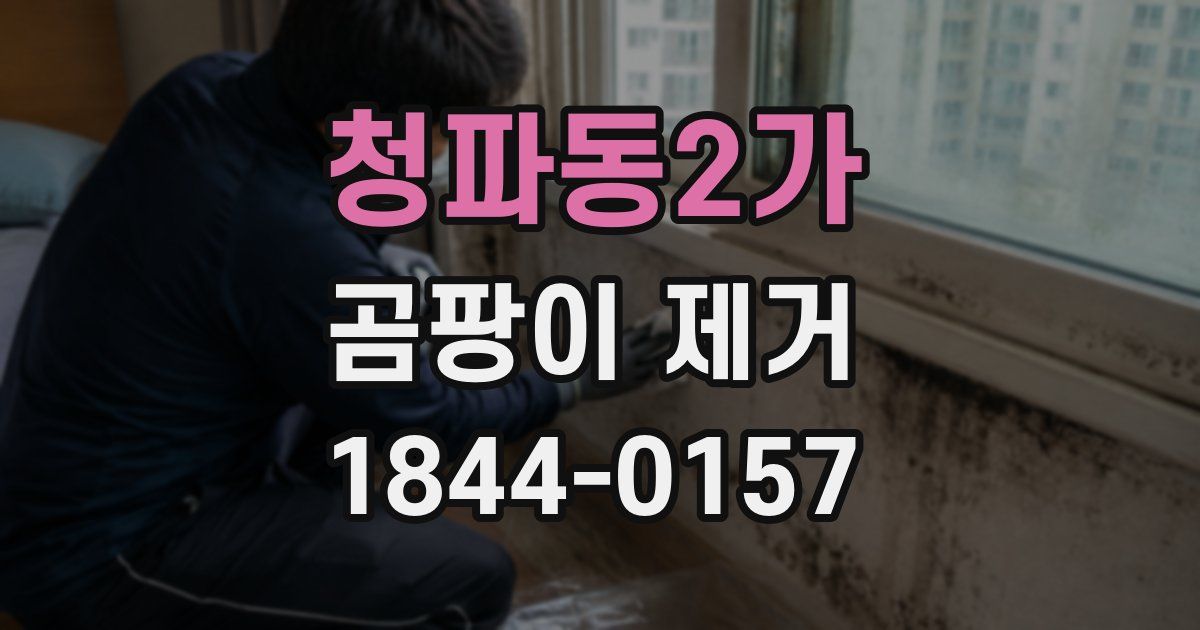 청파동2가 곰팡이 제거