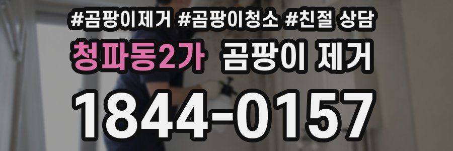 청파동2가 곰팡이 제거