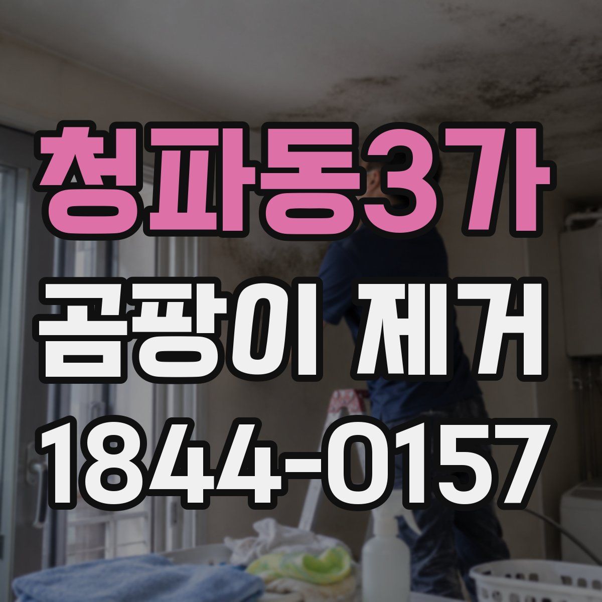 청파동3가 곰팡이 제거