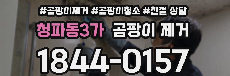 청파동3가 곰팡이 제거