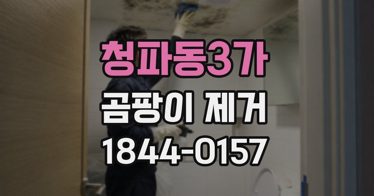 청파동3가 곰팡이 제거
