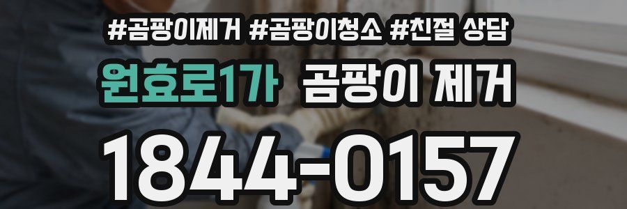 원효로1가 곰팡이 제거