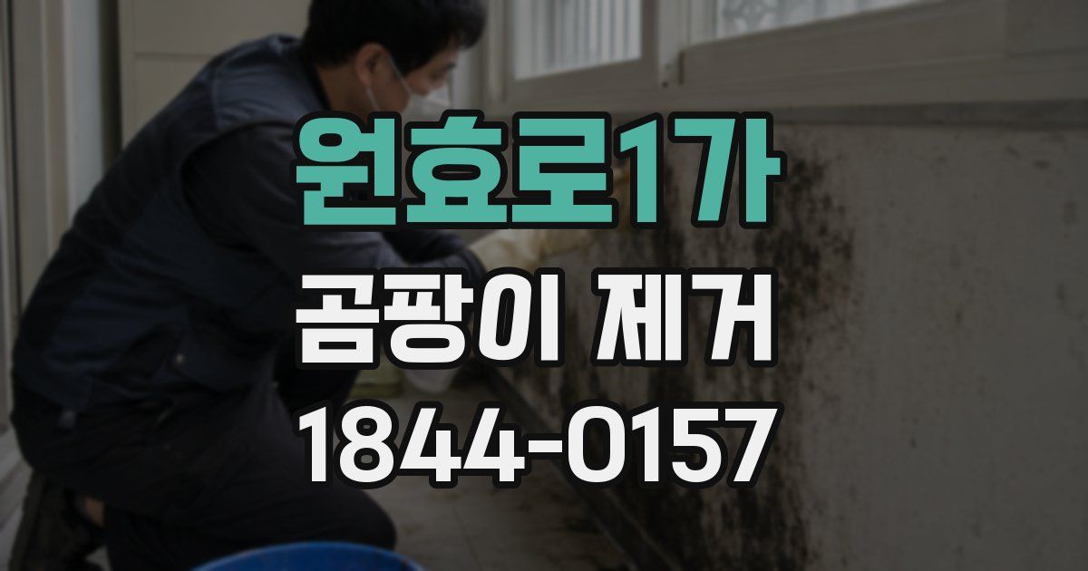 원효로1가 곰팡이 제거