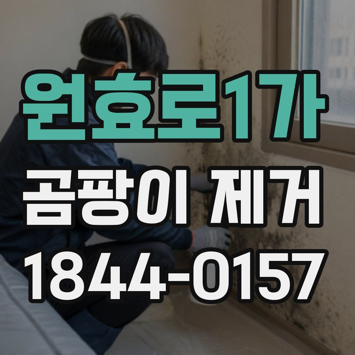 원효로1가 곰팡이 제거