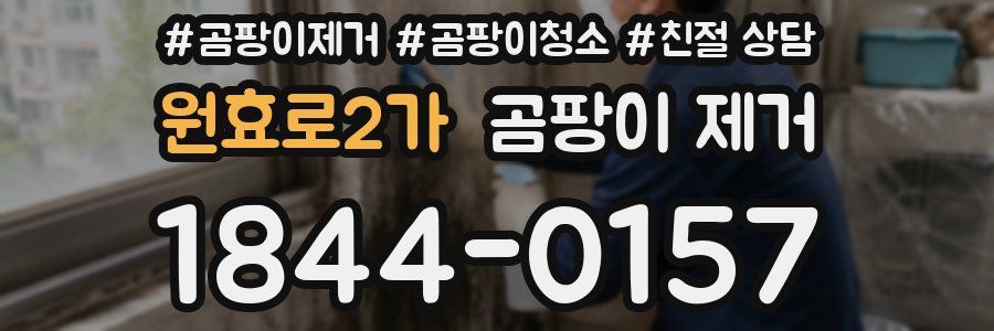 원효로2가 곰팡이 제거