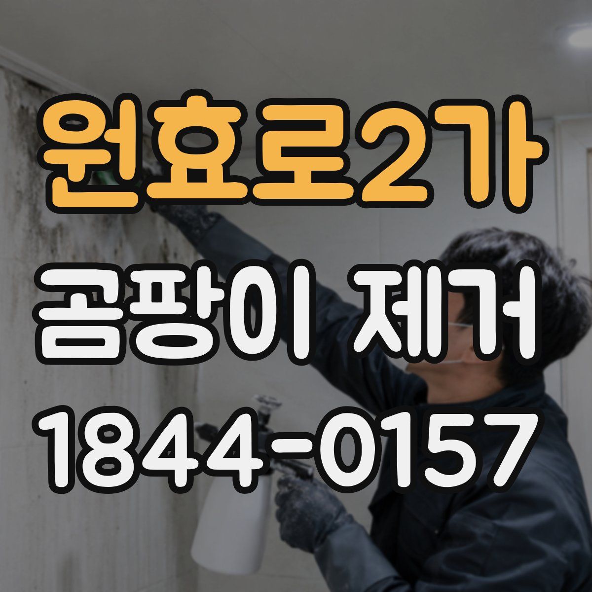 원효로2가 곰팡이 제거
