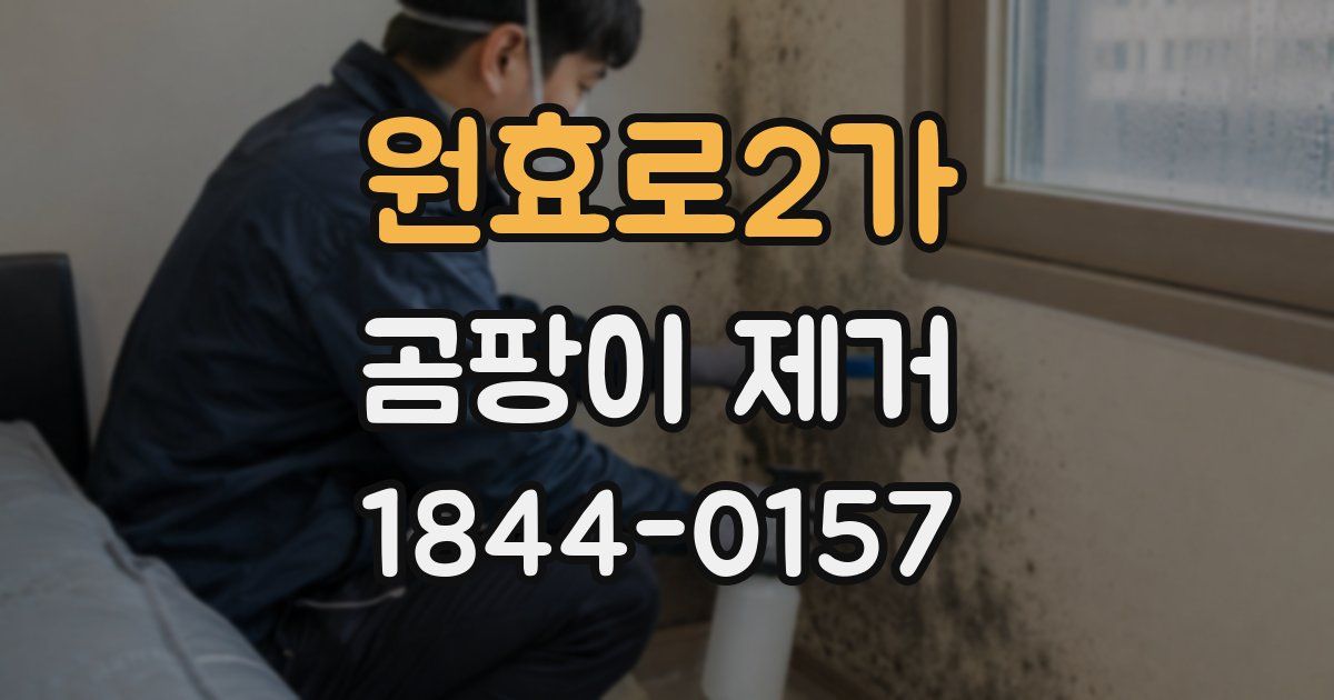 원효로2가 곰팡이 제거