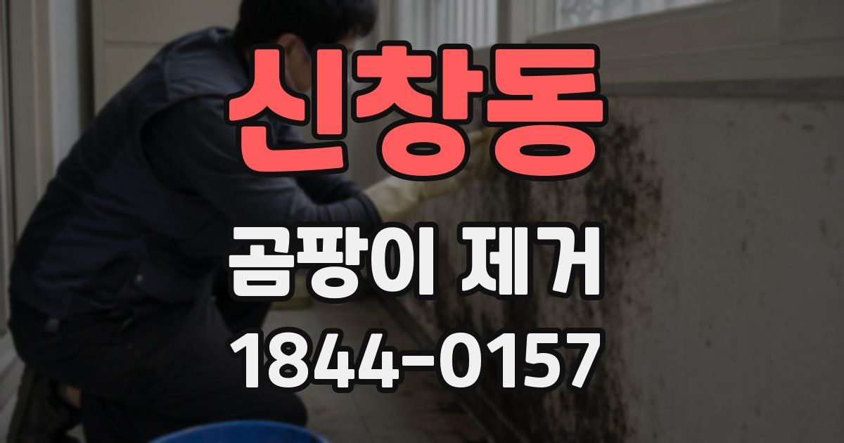 신창동 곰팡이 제거
