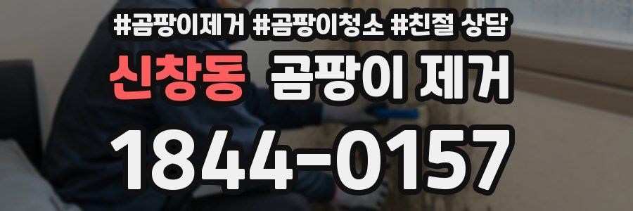 신창동 곰팡이 제거