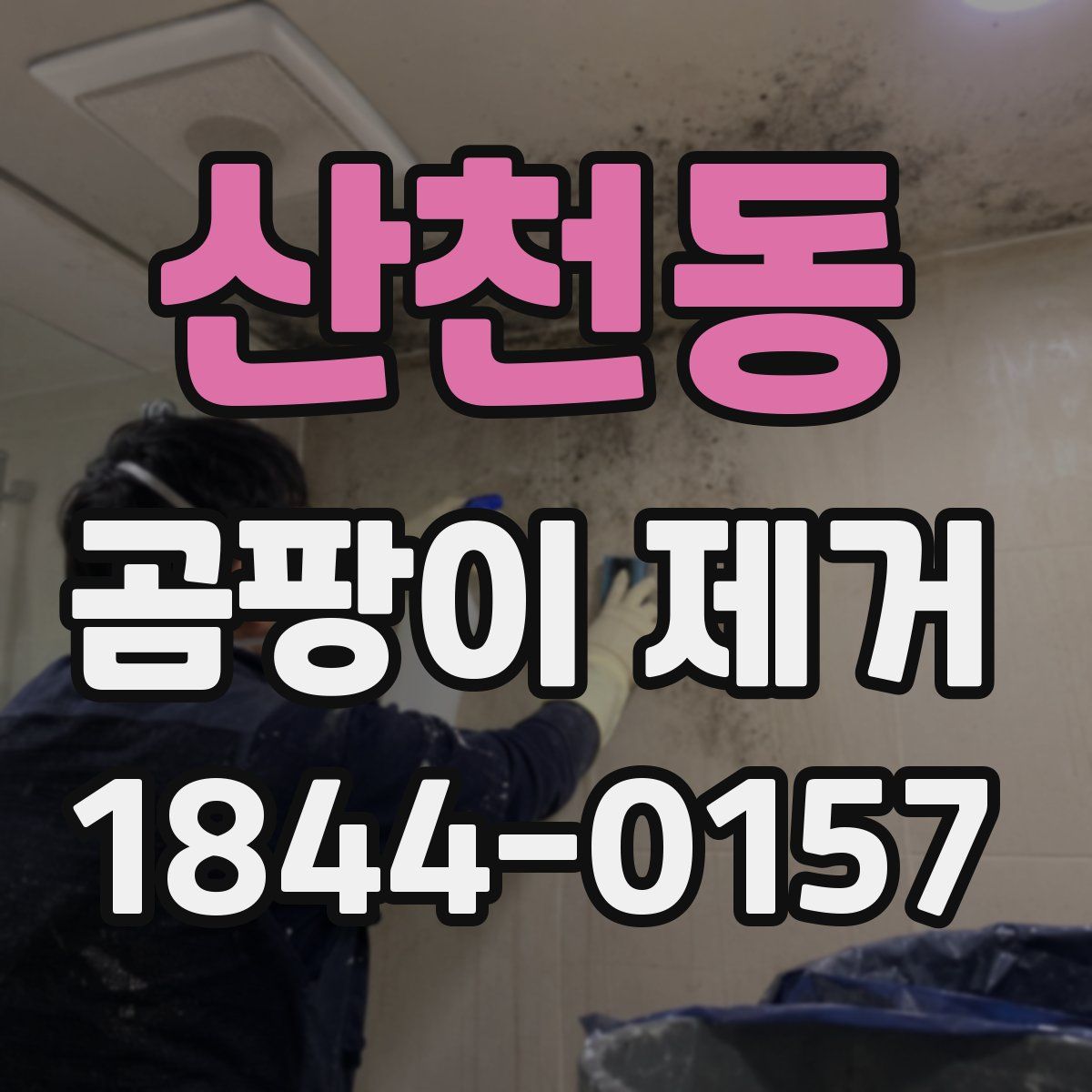 산천동 곰팡이 제거