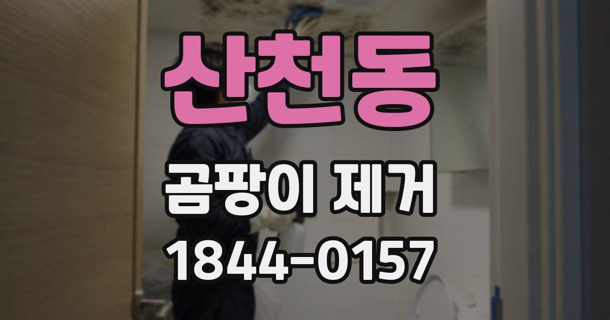 산천동 곰팡이 제거