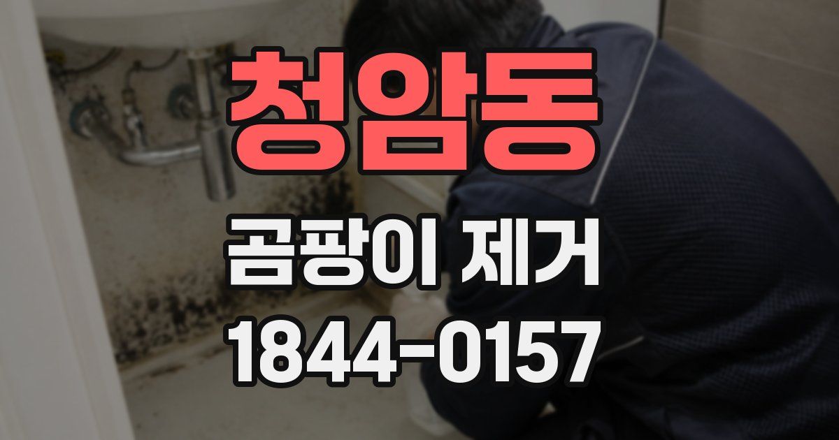 청암동 곰팡이 제거