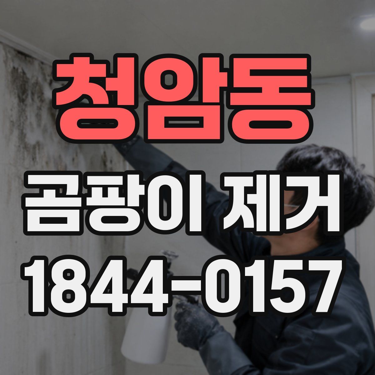 청암동 곰팡이 제거