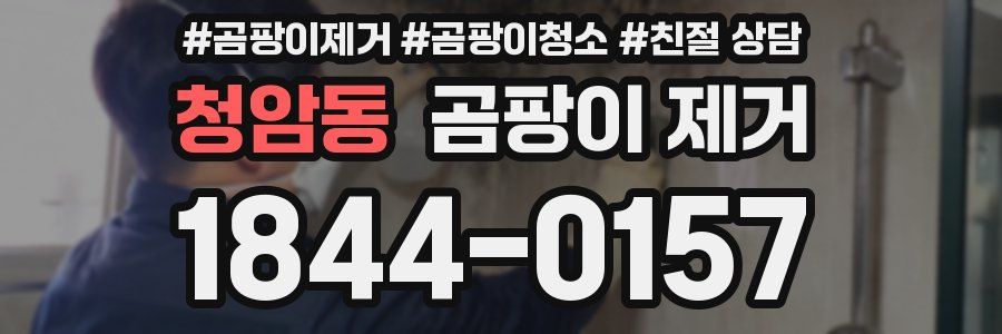 청암동 곰팡이 제거