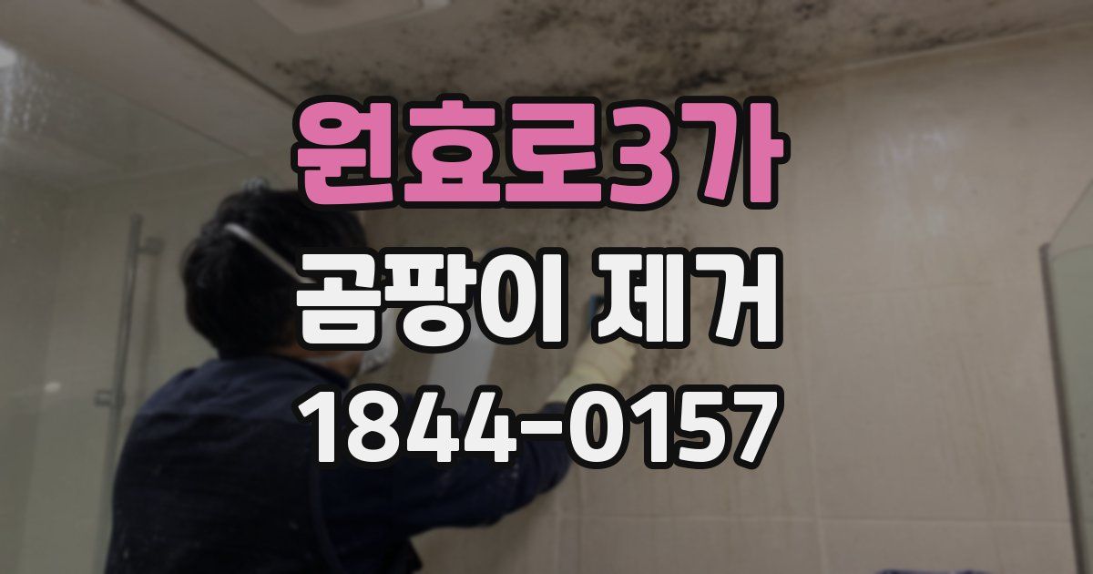원효로3가 곰팡이 제거