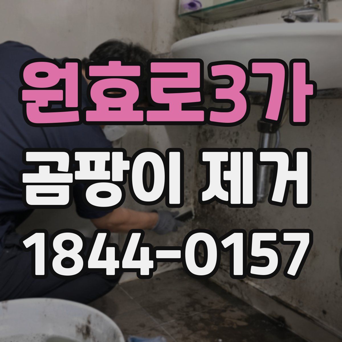 원효로3가 곰팡이 제거