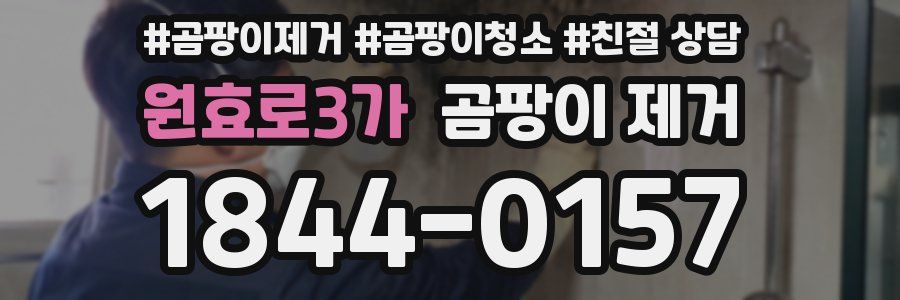 원효로3가 곰팡이 제거