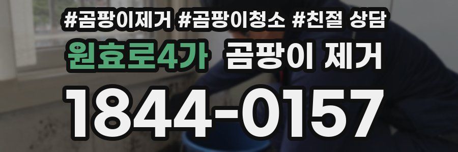 원효로4가 곰팡이 제거