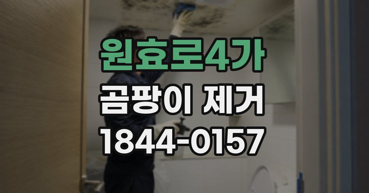 원효로4가 곰팡이 제거