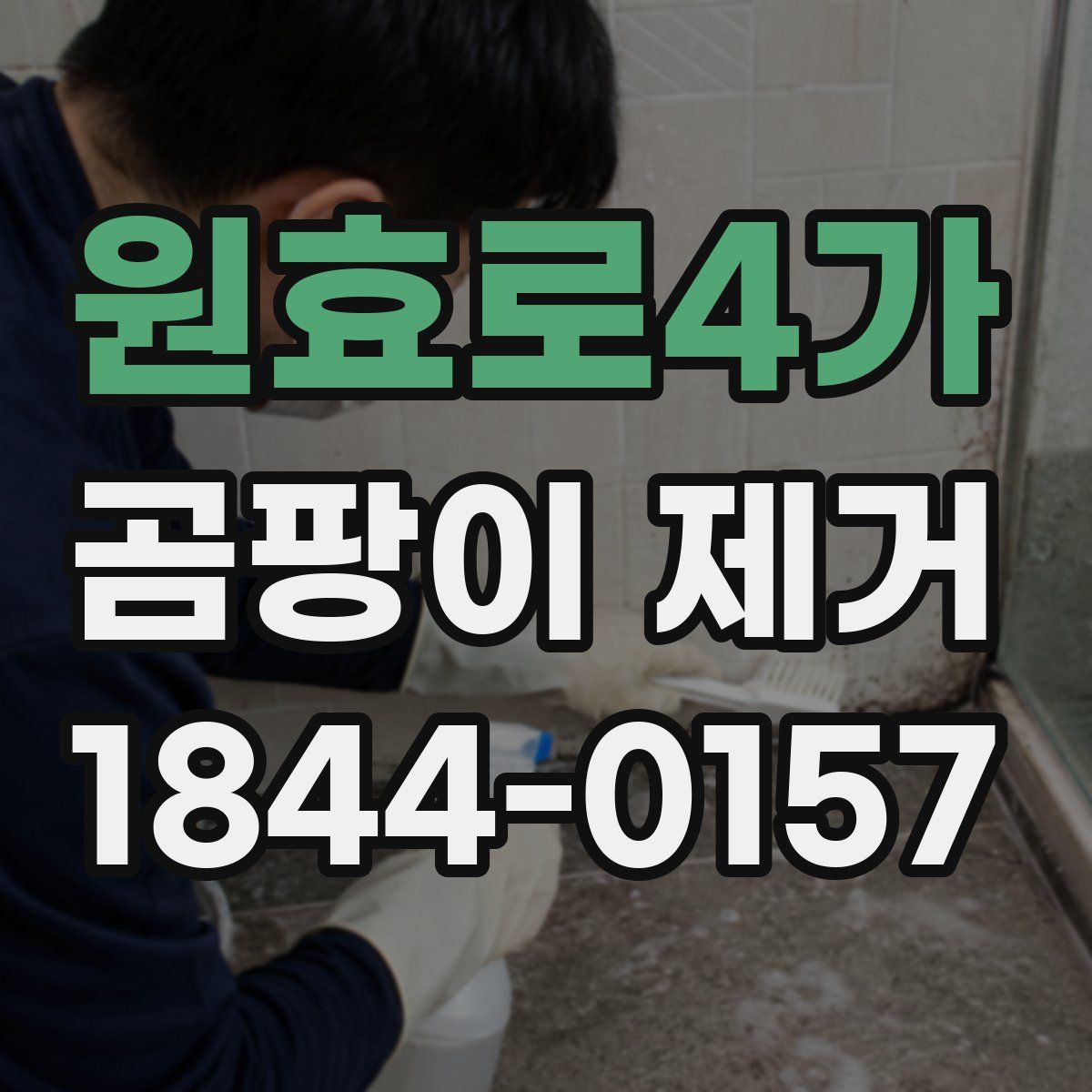 원효로4가 곰팡이 제거