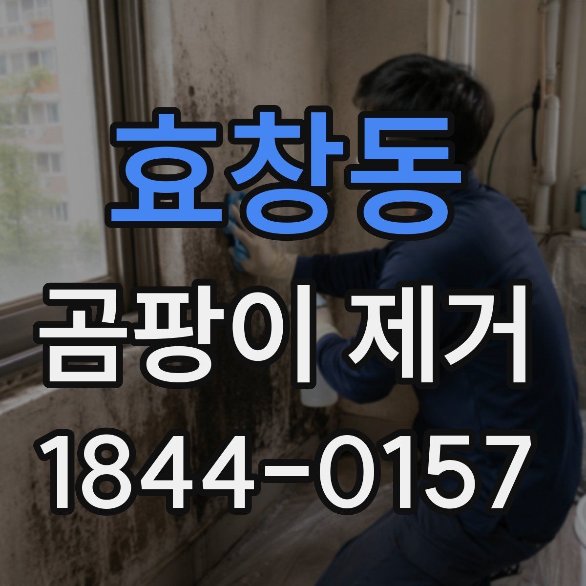 효창동 곰팡이 제거 베란다 곰팡이 원인과 대처