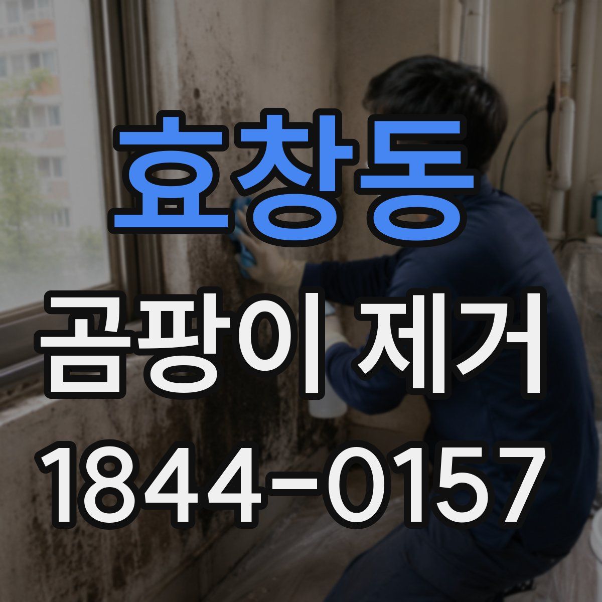 효창동 곰팡이 제거
