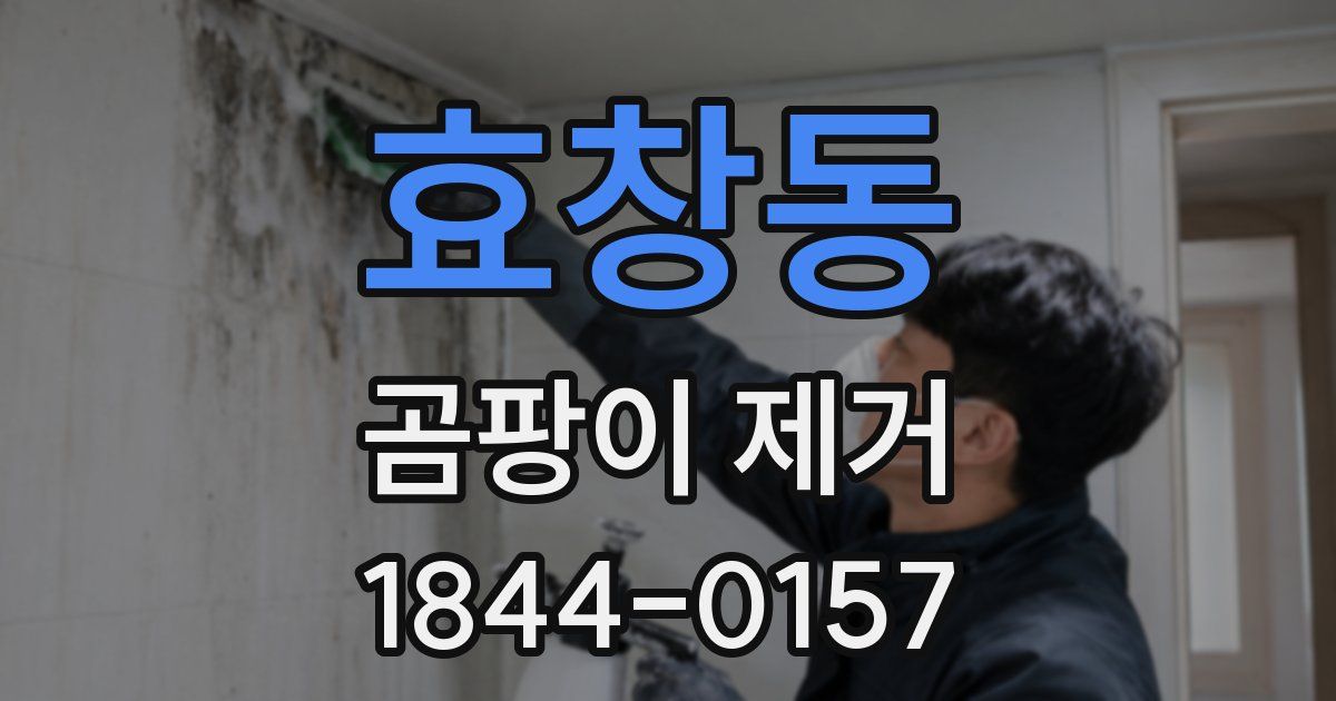 효창동 곰팡이 제거