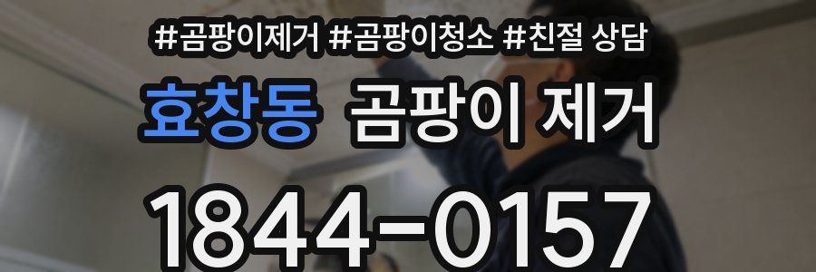 효창동 곰팡이 제거