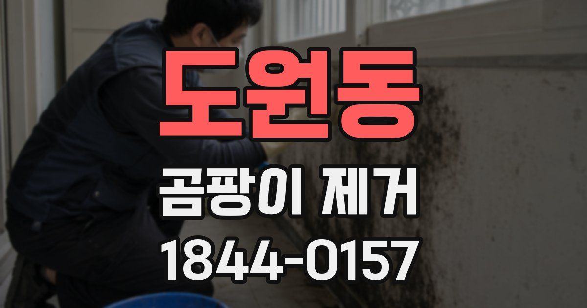 도원동 곰팡이 제거