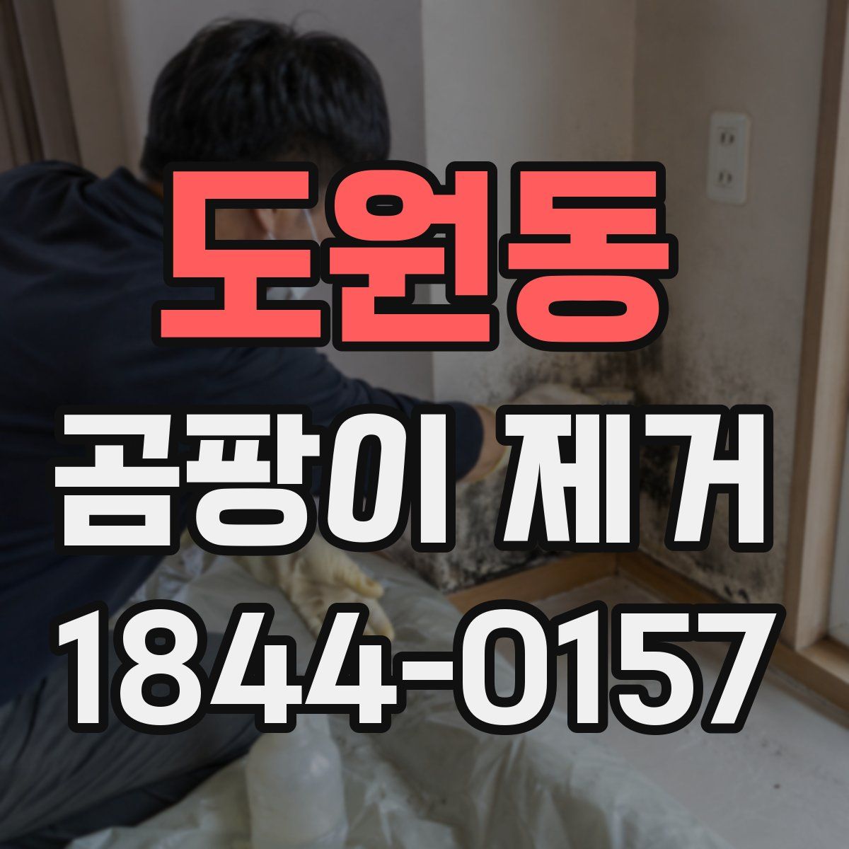 도원동 곰팡이 제거