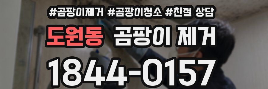 도원동 곰팡이 제거