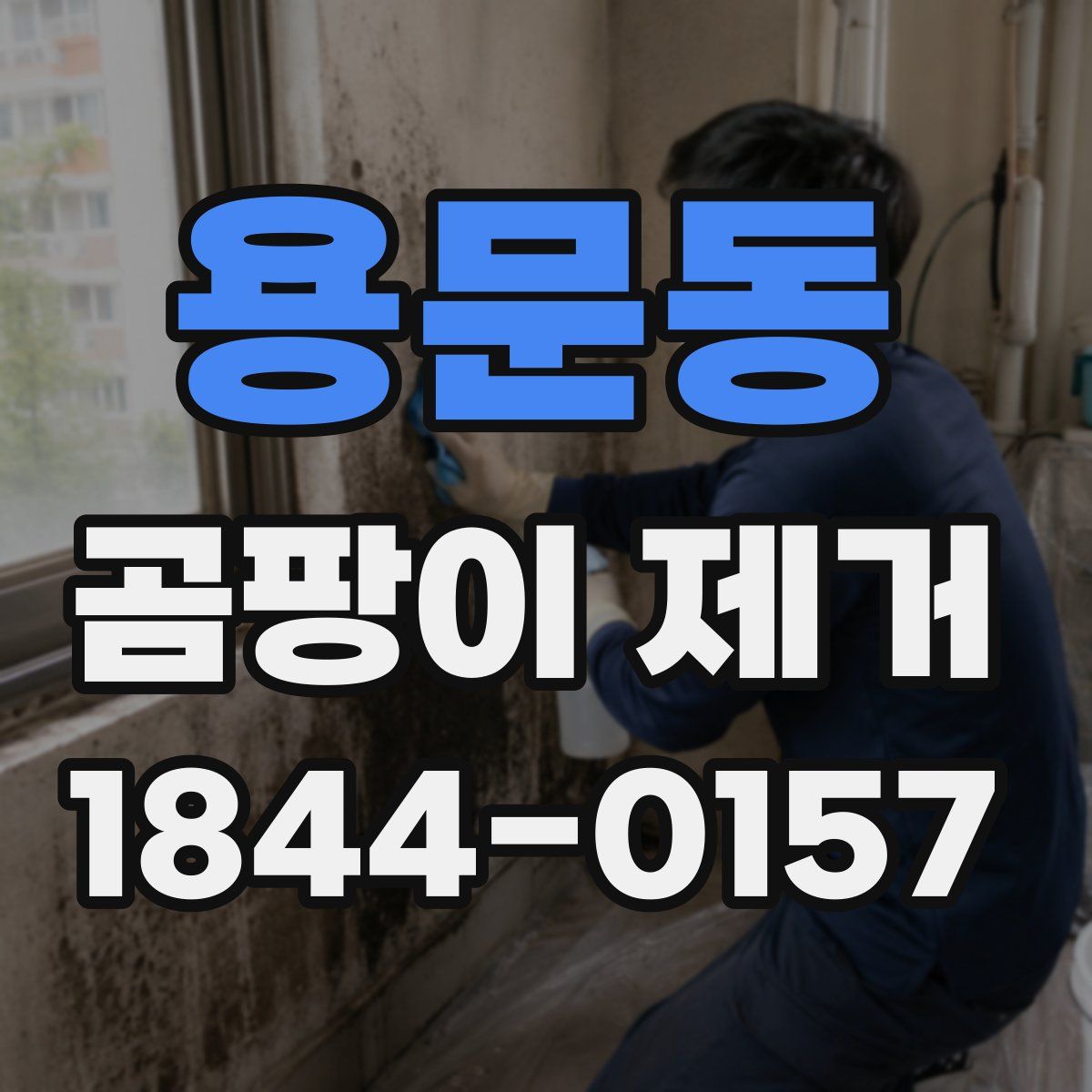용문동 곰팡이 제거