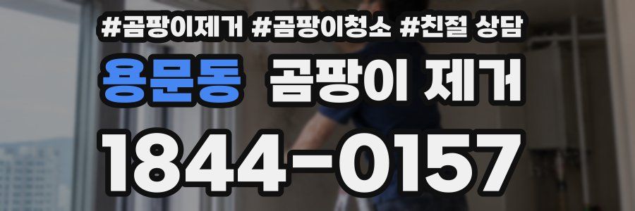 용문동 곰팡이 제거