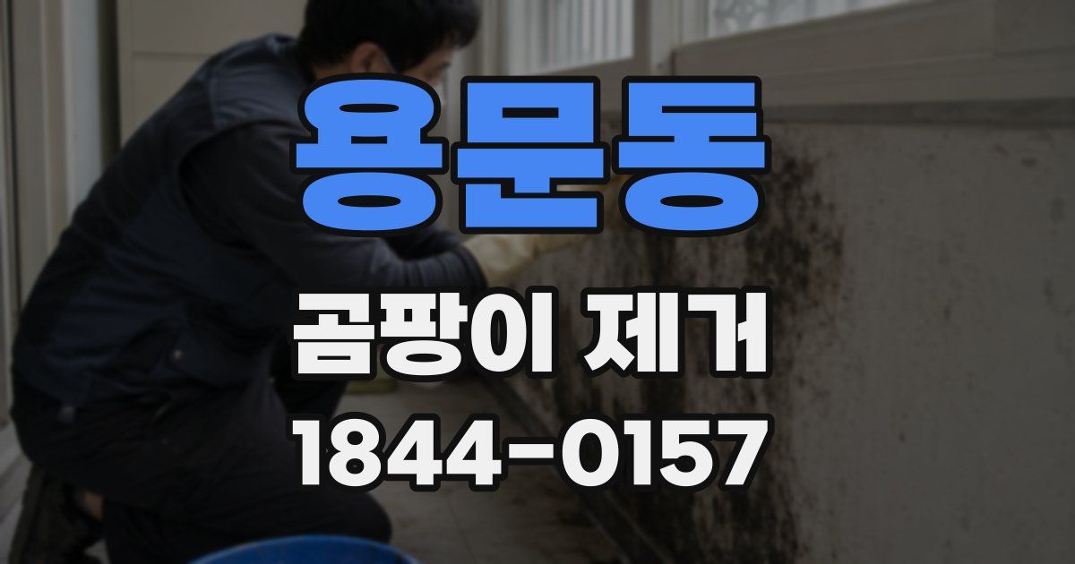 용문동 곰팡이 제거