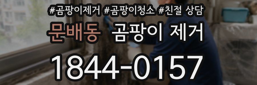 문배동 곰팡이 제거