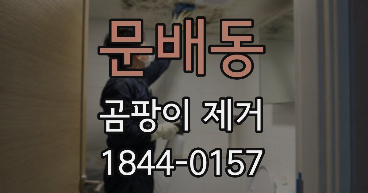 문배동 곰팡이 제거