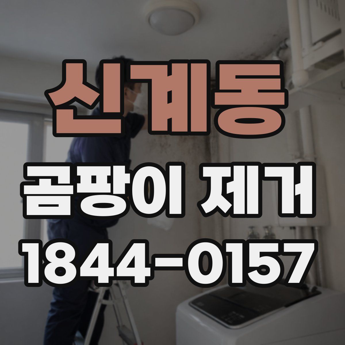 신계동 곰팡이 제거