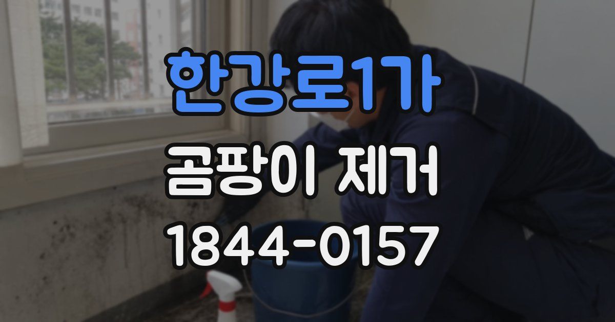 한강로1가 곰팡이 제거