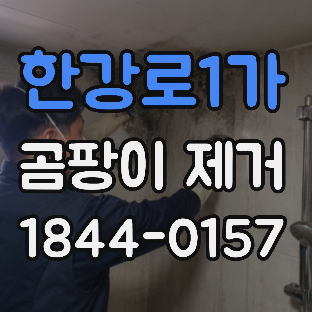 한강로1가 곰팡이 제거