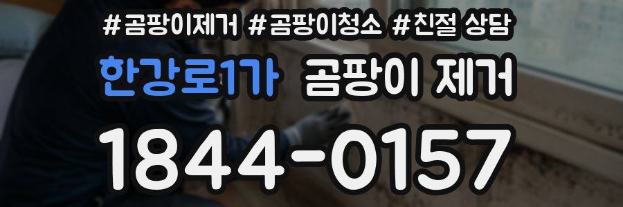 한강로1가 곰팡이 제거