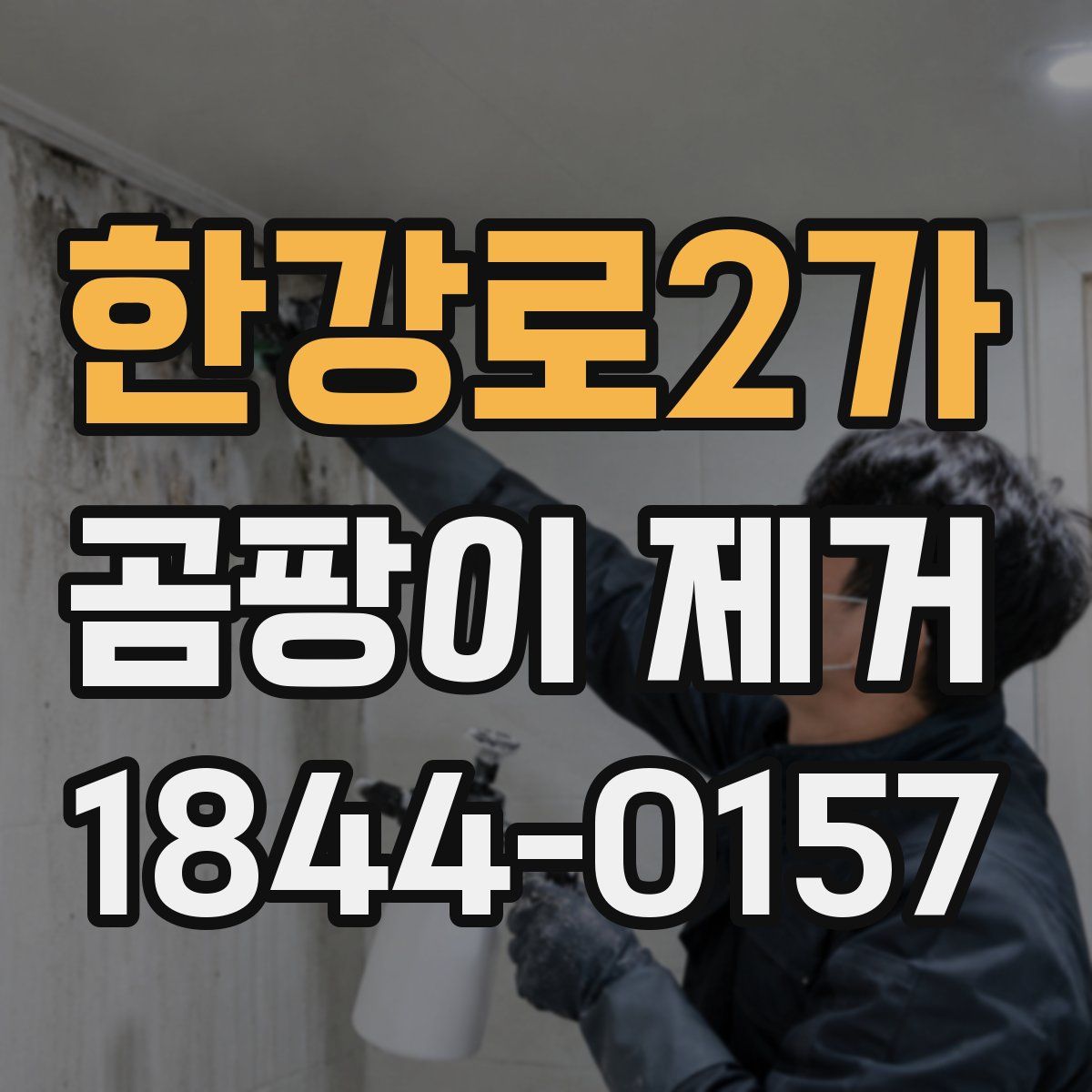 한강로2가 곰팡이 제거